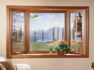 casement and awning windows