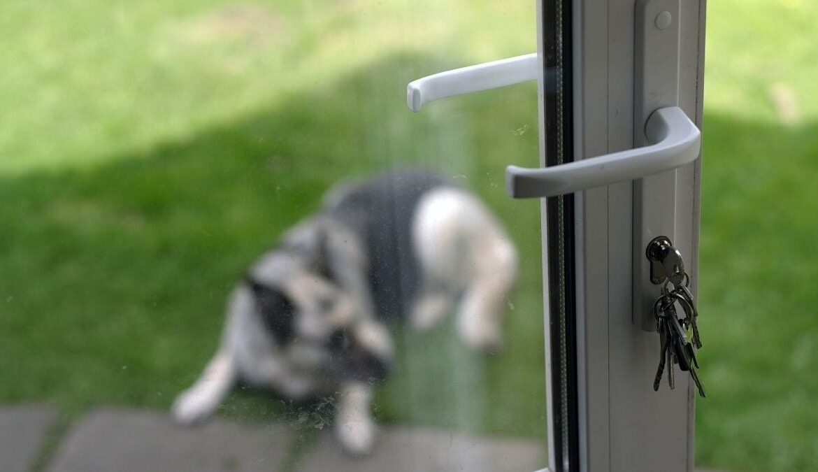 Pros and Cons of Storm Doors