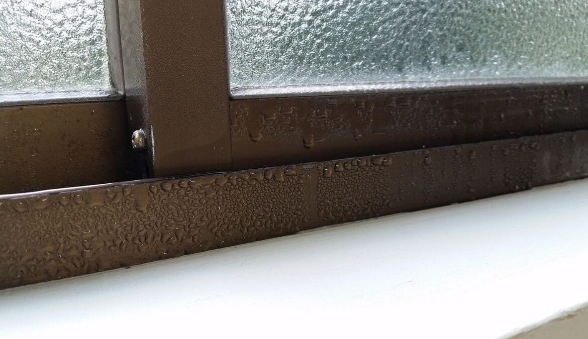 Home Moisture Problems