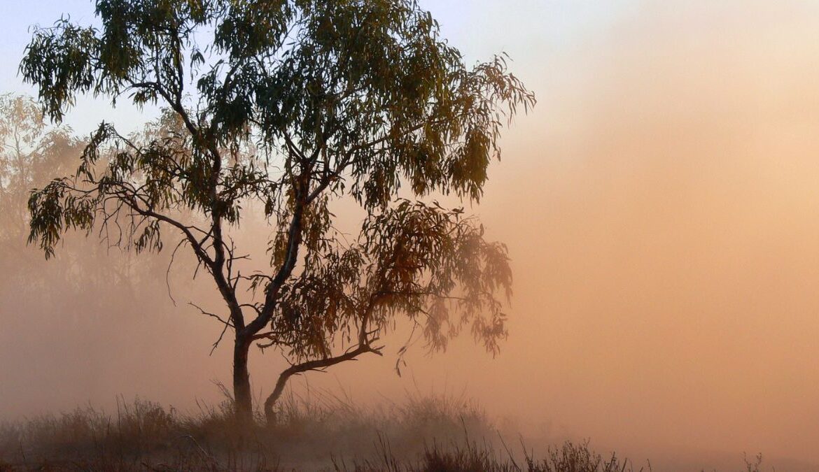 How Do I Prepare My House For A Dust Storm?