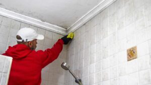 Condensation, Mold, and Winter Bathrooms: A Prevention Guide