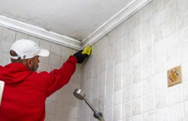 Condensation, Mold, and Winter Bathrooms: A Prevention Guide