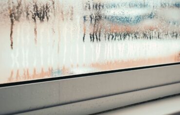 Seeing Fog, Drafts, or Bugs? What Your Windows Are Trying to Tell You This Spring