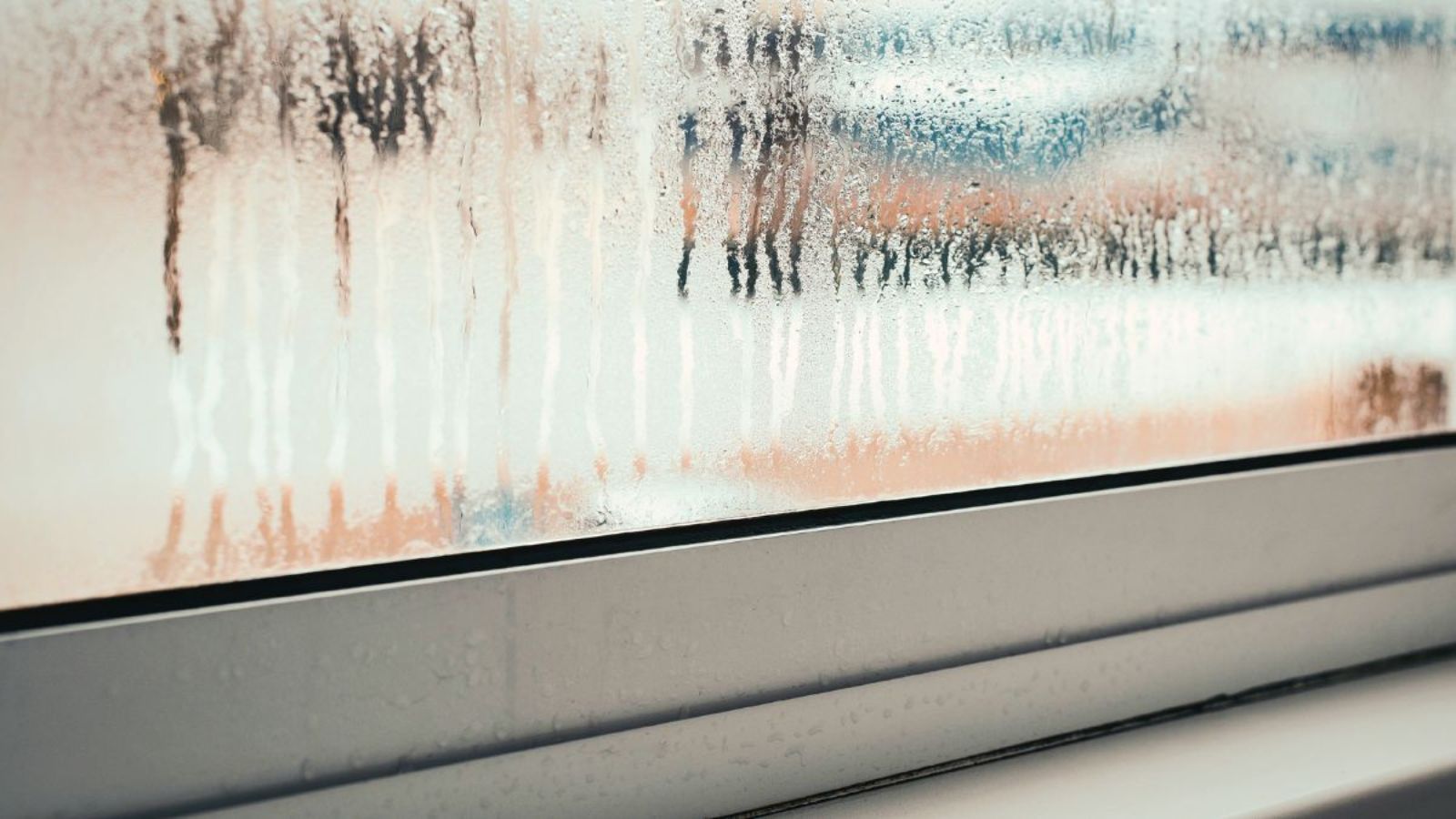 Seeing Fog, Drafts, or Bugs? What Your Windows Are Trying to Tell You This Spring
